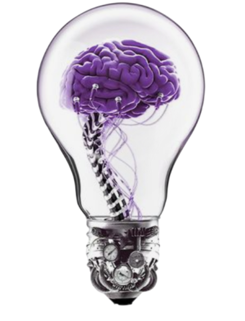 Creative Project Idea